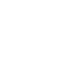 PDV PDV